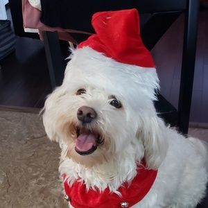 Meet your Posher, Gerri